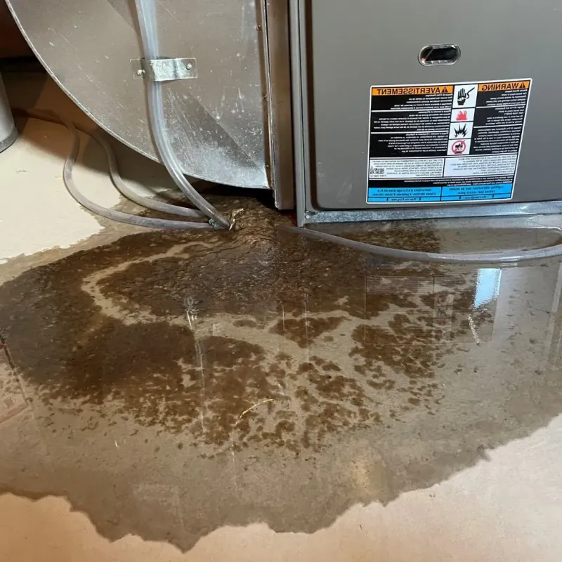 Pipe Burst and Leak Restoration in Lewes, DE